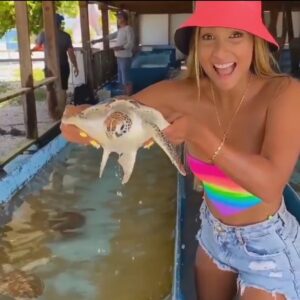 Tour in the Sea Turtle Rehabilitation Scientific Station in Los Roques