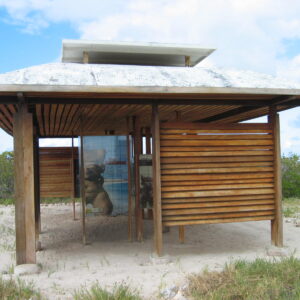 Guided Tour of the Dos Mosquises Archaeological Site
