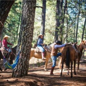 Discover the Huasca de Ocampo Forest on horseback