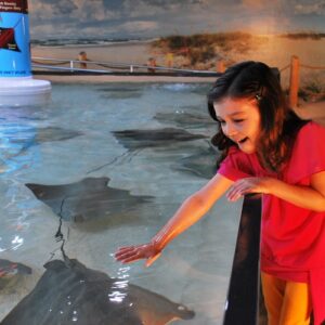 Tampa ZooQuarium: ZooTampa & The Florida Aquarium Combo Ticket