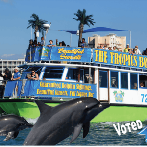 Dolphin Exploration tour