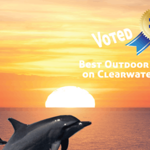 Sunset Celebration Cruise