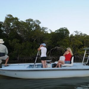 Private Everglades bird watching and photography safari boat tour