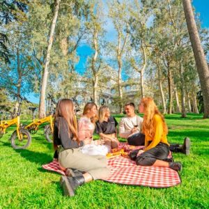 E-bike Tour of Madrid's Parks and Top Sights