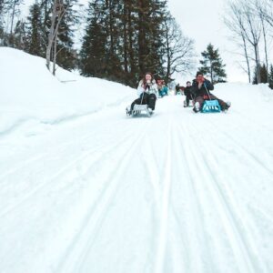 Sledding in the Alps from Interlaken