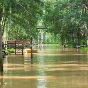 Delta premium tour: five rivers and visit to Puerto de Frutos