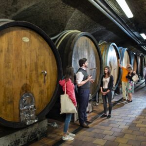 Klosterneuburg Abbey: Wine and Tasting Tour from Vienna by E-Bike