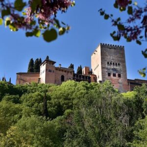 Alhambra guided tour and Granada city pass with all entrances