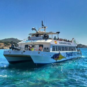 Santa Ponsa: 3-Hr Dolphin Watching Boat Excursion