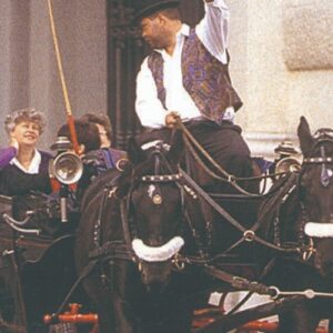 Musikverein Vienna: Mozart Concert VIP Experience + Dinner + Carriage Ride