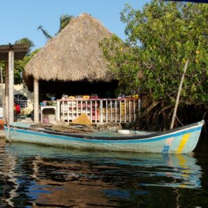 Mandinga Lake: Boat Tour + Transport from Veracruz