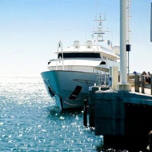 Guided tour of Puerto Madryn and Punta Loma sea lions reserve