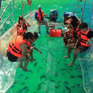 Los Cabos: Guided Transparent Boat Tour