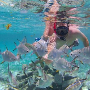 Punta Cana Coral Reef Restoration & Snorkelling Experience