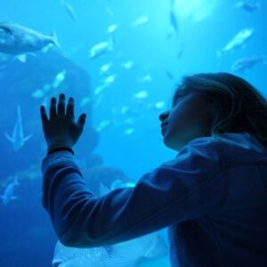 Palma de Mallorca: 2-Hr Catamaran Cruise + Swimming & Snorkeling