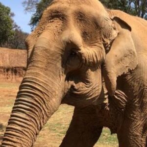 Aculco and Bioparque Estrella: Tour from Santiago de Querétaro