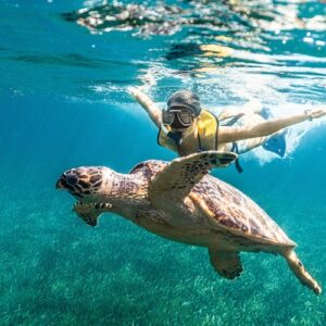 Cancún: 5-in-1 Snorkeling Tour