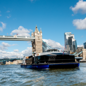 London: 24-Hour Hop-on Hop-off City Cruise