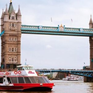 Thames River Cruise and Westminster Walking Tour