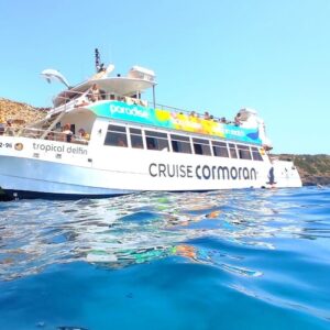 Santa Ponsa: 2-Hr Glass-Bottom Boat Dolphin-Watching