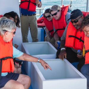 Cabo San Lucas Glass-Bottom Boat Cruise