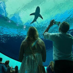 Frost Science Museum, Aquarium & Planetarium Ticket