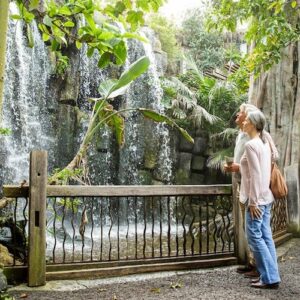 Palma Aquarium: Entry Ticket + Transfer from Alcudia - Puerto Pollensa