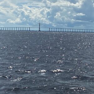 Amazon Safari Tour in Manaus