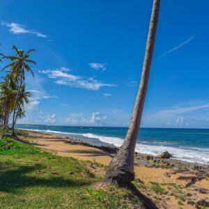 Wild Beach 4x4 Tour with Lunch