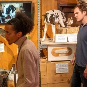 Ripley鈥檚 Believe It or Not! Hollywood: Entry Ticket