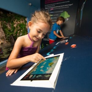 Interactive Aquarium Cancún: Entry Ticket
