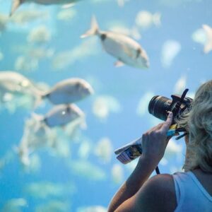 Palma Aquarium: Entry Ticket + Transfer from Calvi脿 Area