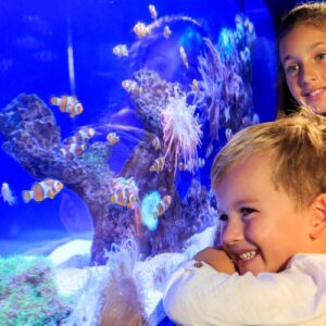 Palma Aquarium: Skip The Line Ticket