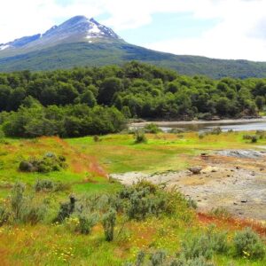 Tierra del Fuego National Park and End of the World Train: Tour from Ushuaia