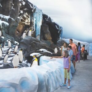 SeaWorld Orlando: Fast Track Ticket