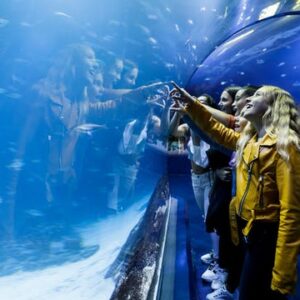 Admission Tickets for the Atlantis Aquarium in Madrid