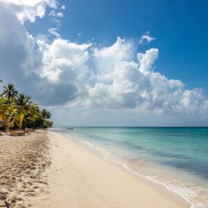 Saona Island & Private Beach Catamaran Cruise