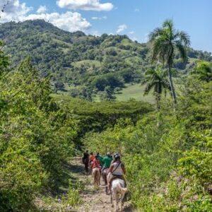 Dominican Mountain Horseback Ride