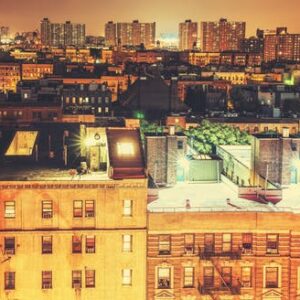 Neighborhoods of New York tour: Brooklyn, Bronx, Harlem, Queens and Coney Island