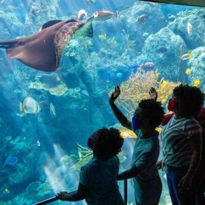 Aquarium of the Pacific tickets