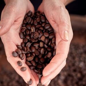 Anamuya Jungle Buggy Safari Tour