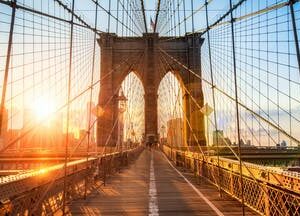 Private Tour New York City Boroughs: Brooklyn, The Bronx, Harlem & Queens with Coney Island