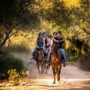 Taino Trail Horseback Riding Experience