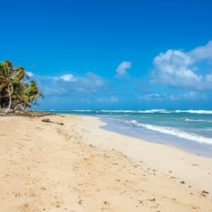 Private Half-day Safari Eco Caribe