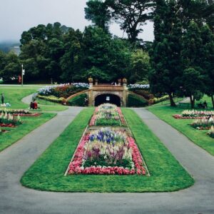 Golden Gate Park exploration game and tour