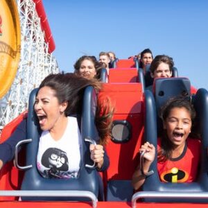 Disneyland® Resort 1 Park per day tickets