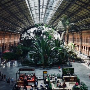 Guided tour to Madrid's photogenic places with a local