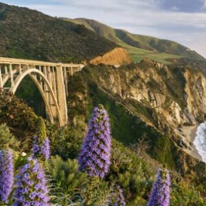 Big Sur California: Pacific Coast Highway self-drive tour