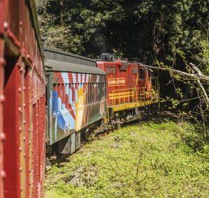 Skunk Train Pudding Creek Express tickets in Fort Bragg, CA