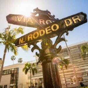 Private tailored Los Angeles sightseeing group tour